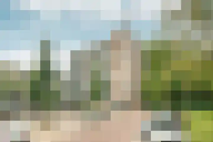 Bolestein 288 Amsterdam thumbnail 26