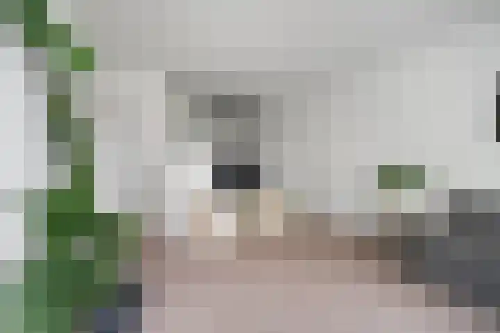 Bolestein 288 Amsterdam thumbnail 9