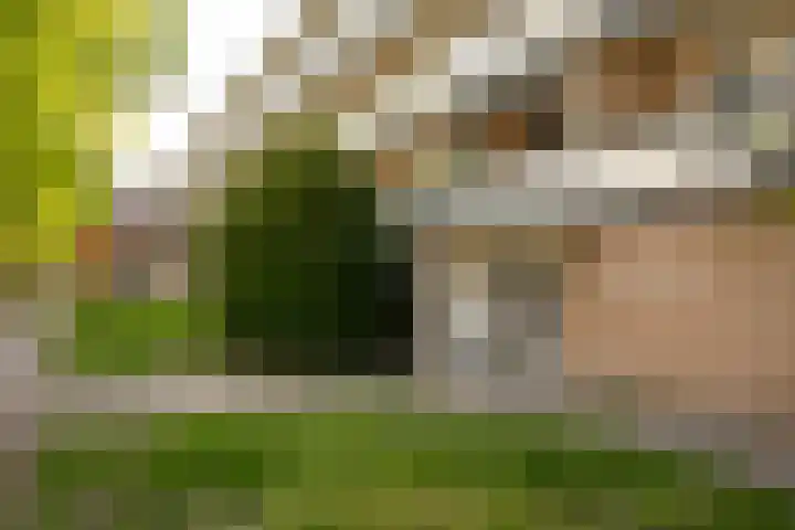 Bolestein 310 Amsterdam thumbnail 16