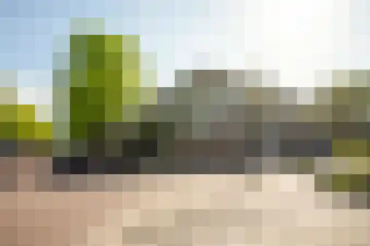 Bolestein 310 Amsterdam thumbnail 17