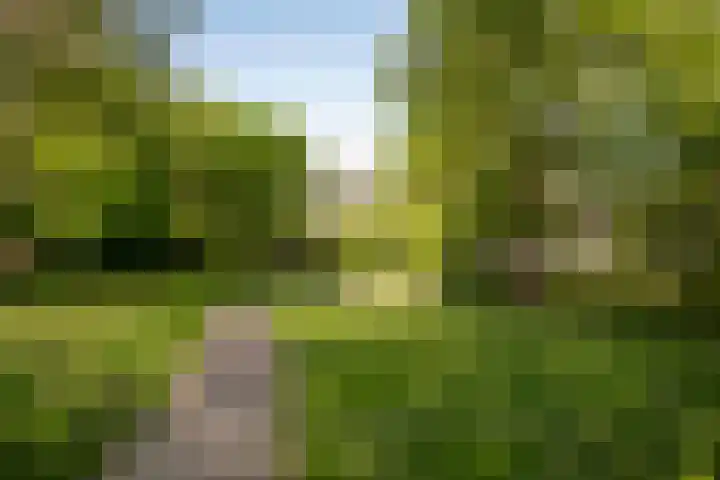 Bolestein 310 Amsterdam thumbnail 18