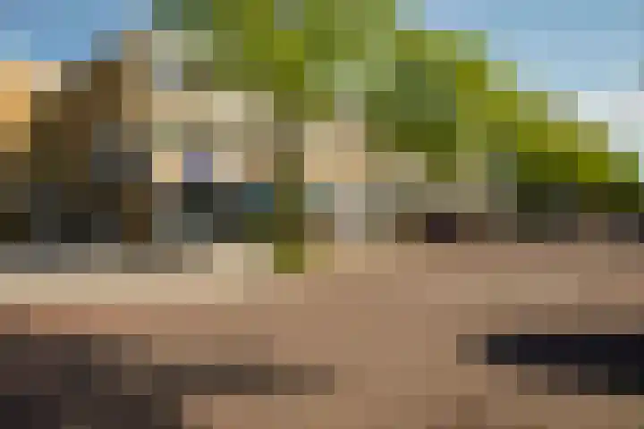 Bolestein 310 Amsterdam thumbnail 19