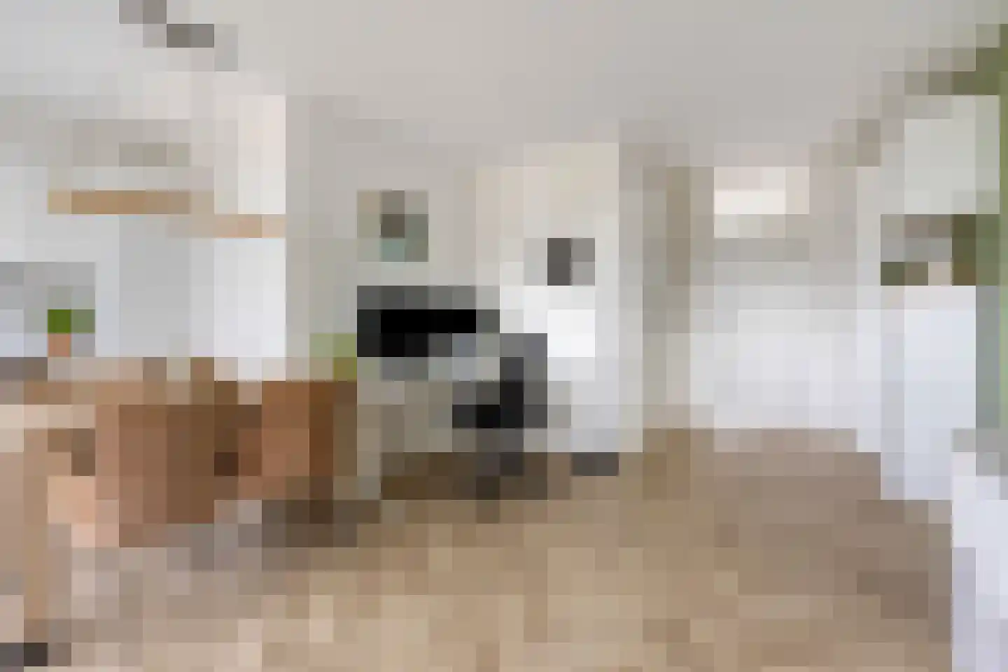 Bolestein 36 Eindhoven thumbnail 6