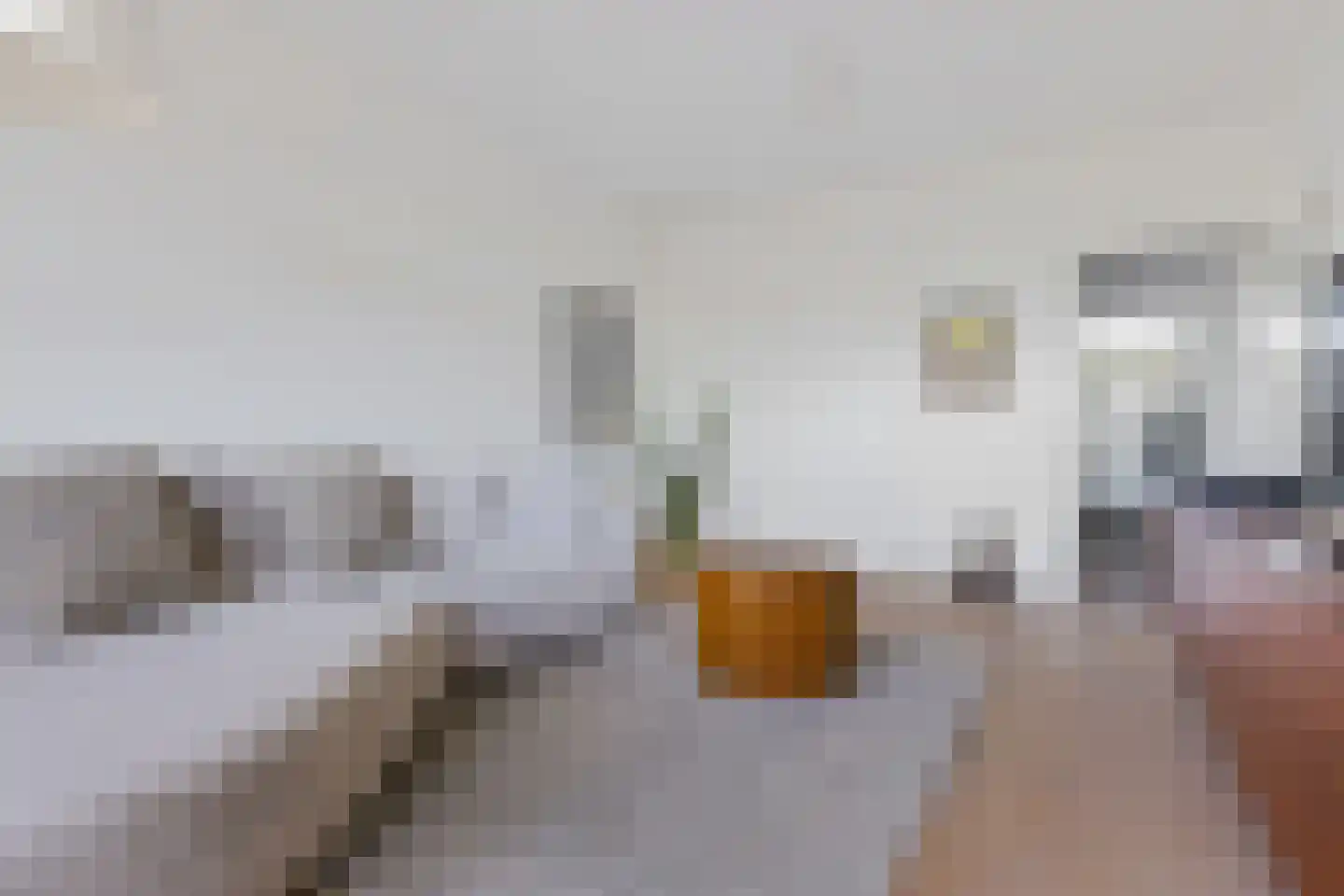 Bolestein 382 Amsterdam thumbnail 12