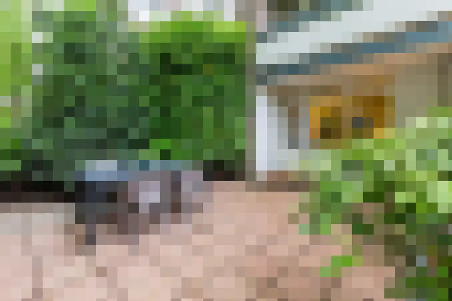 Bolestein 496 Amsterdam thumbnail 25