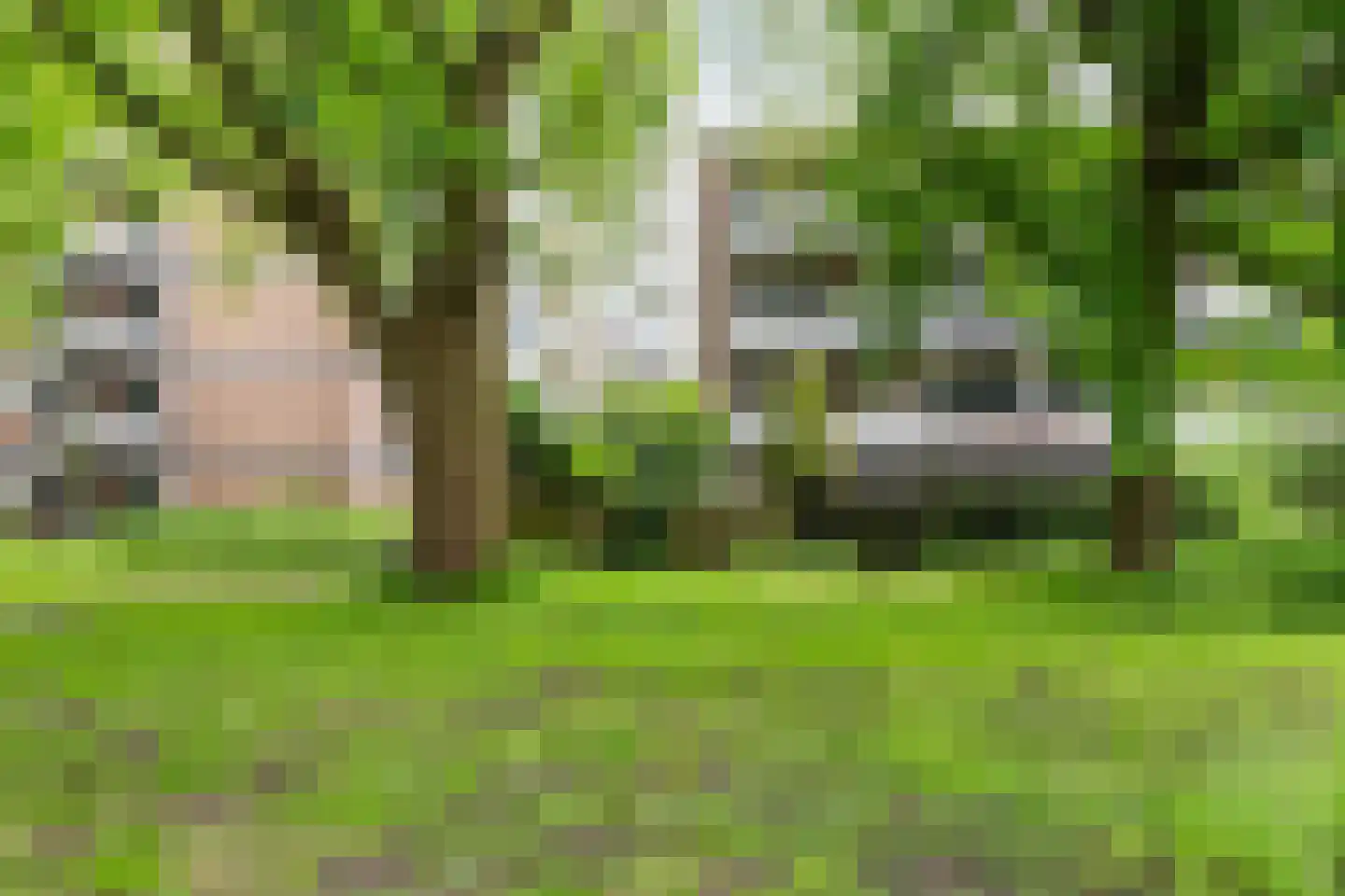Bolestein 496 Amsterdam thumbnail 27