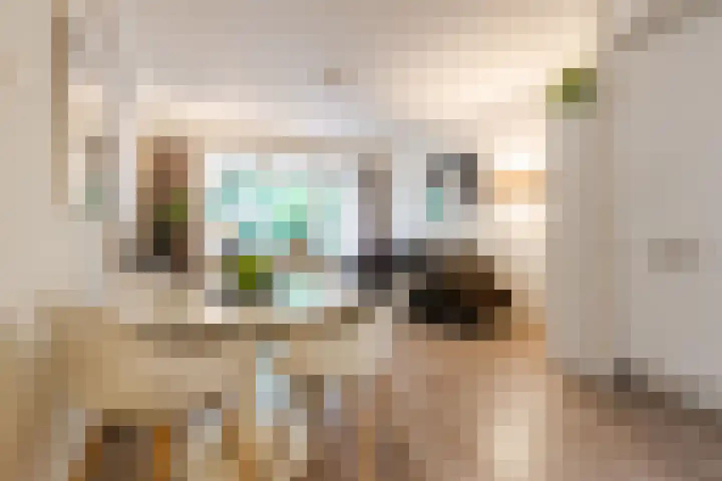 Bolestein 496 Amsterdam thumbnail 8