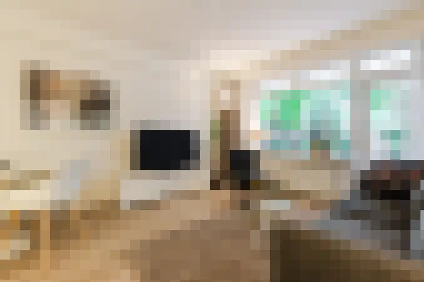 Bolestein 496 Amsterdam thumbnail 9