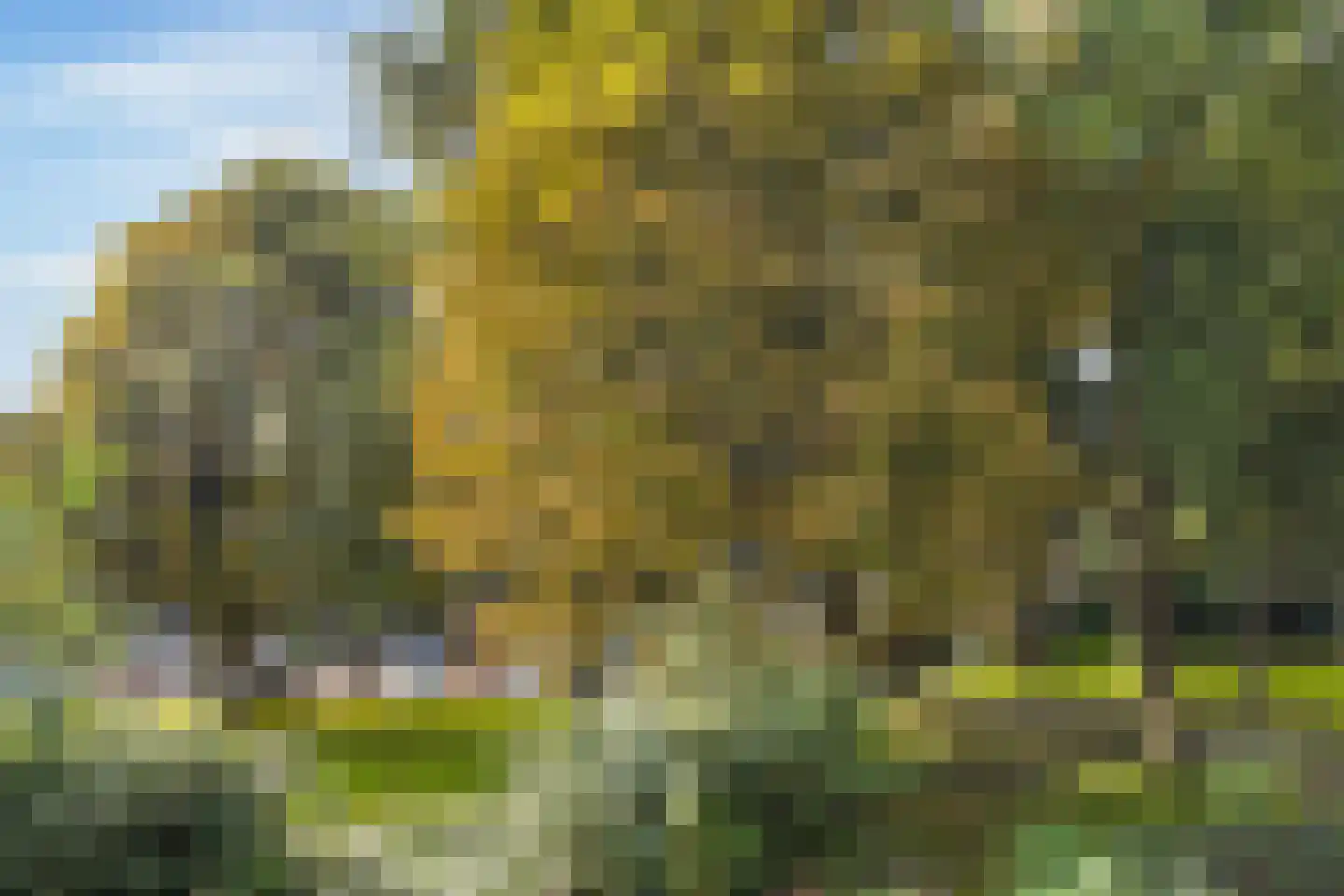 Bolestein 514 Amsterdam thumbnail 10