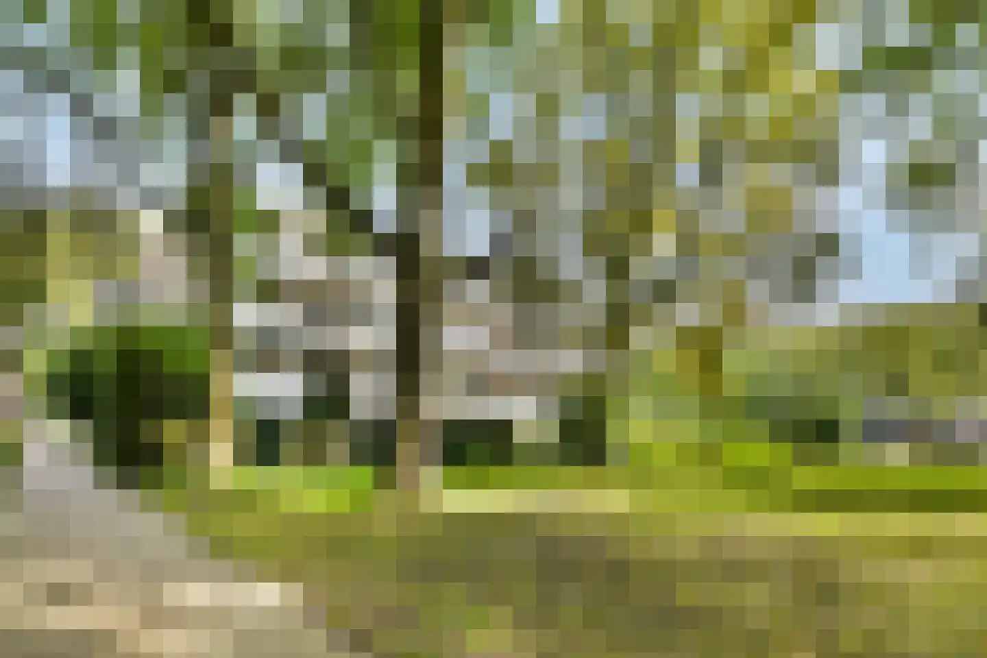 Bolestein 514 Amsterdam thumbnail 19