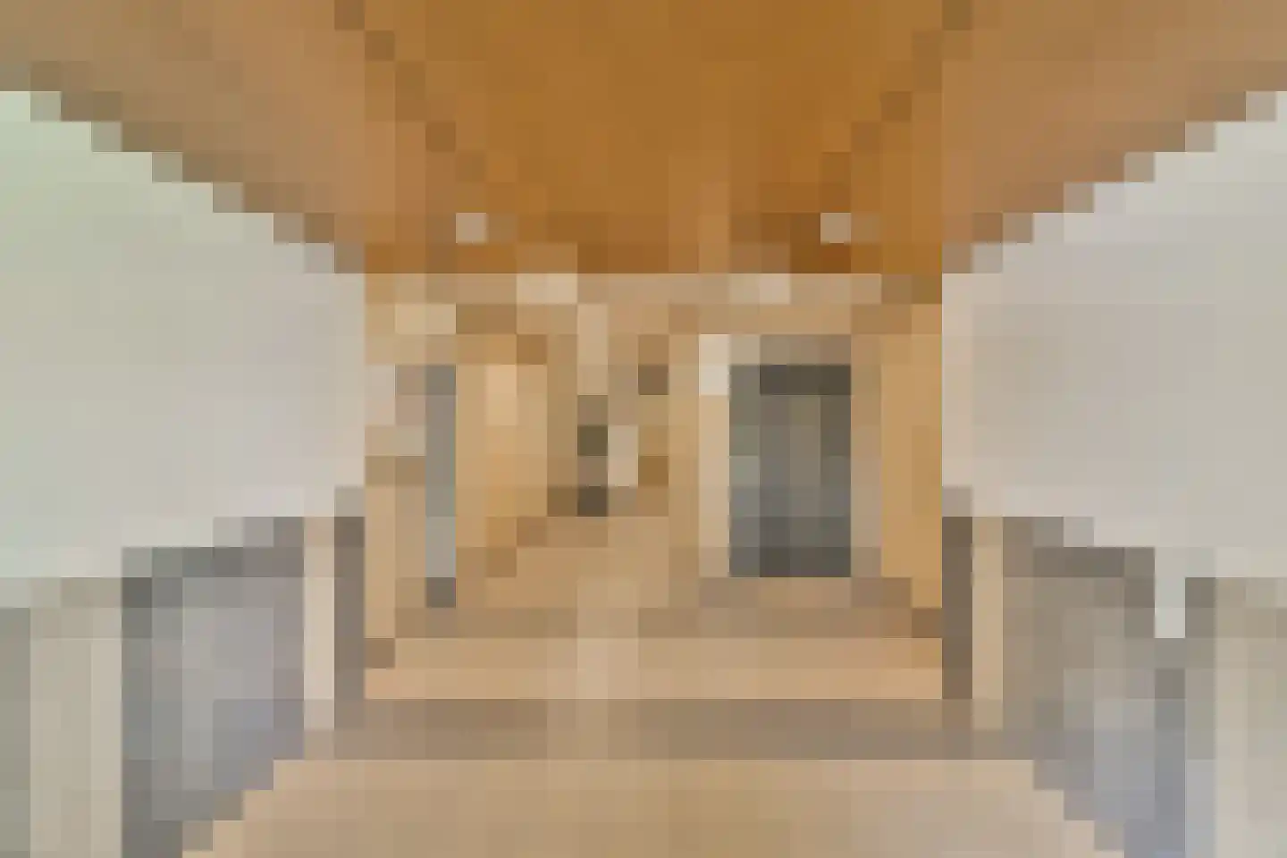 Bolestein 514 Amsterdam thumbnail 21