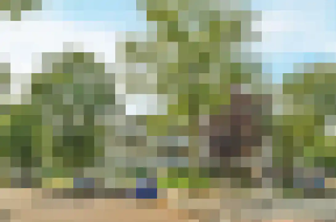 Bolestein 514 Amsterdam thumbnail 22