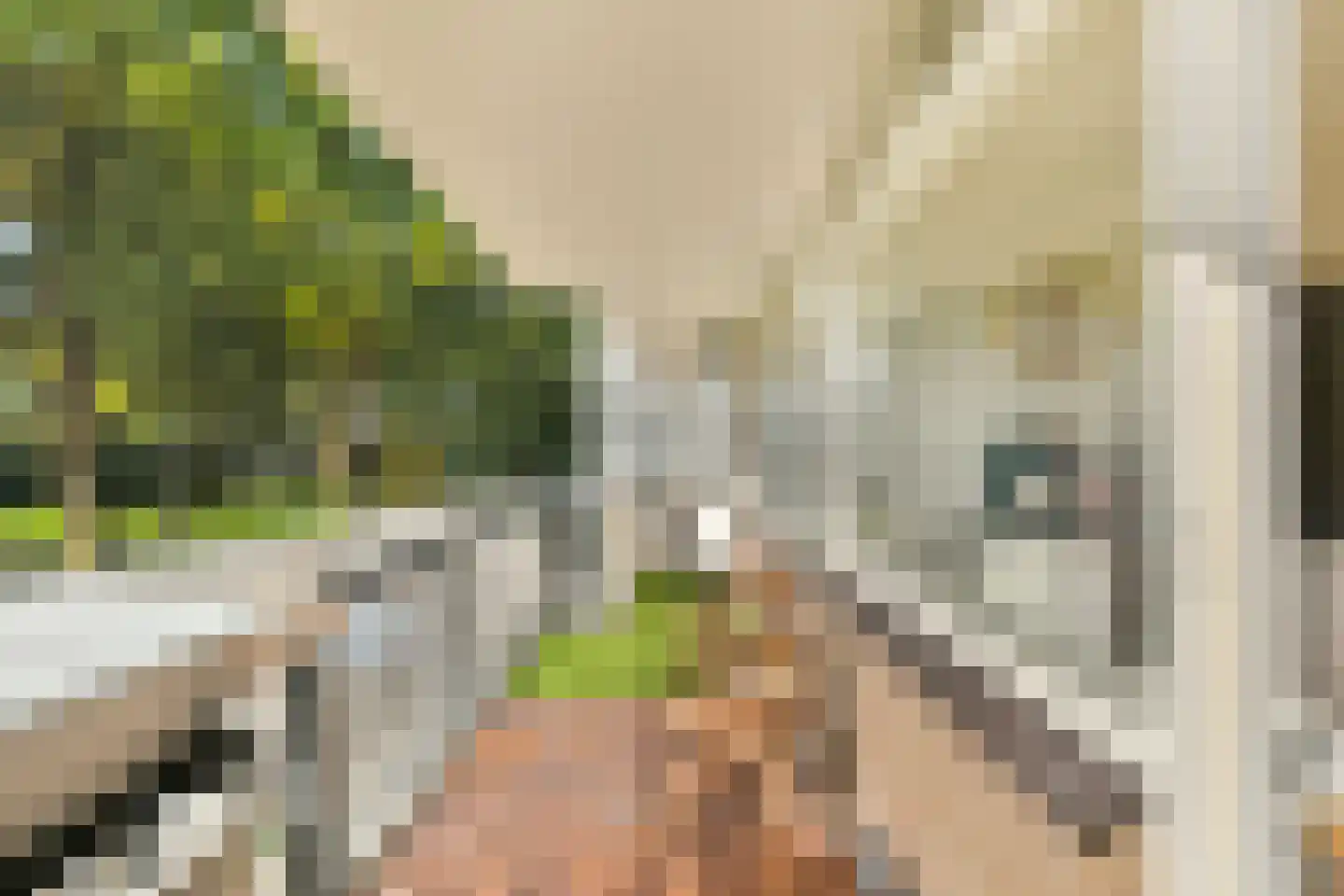 Bolestein 514 Amsterdam thumbnail 8