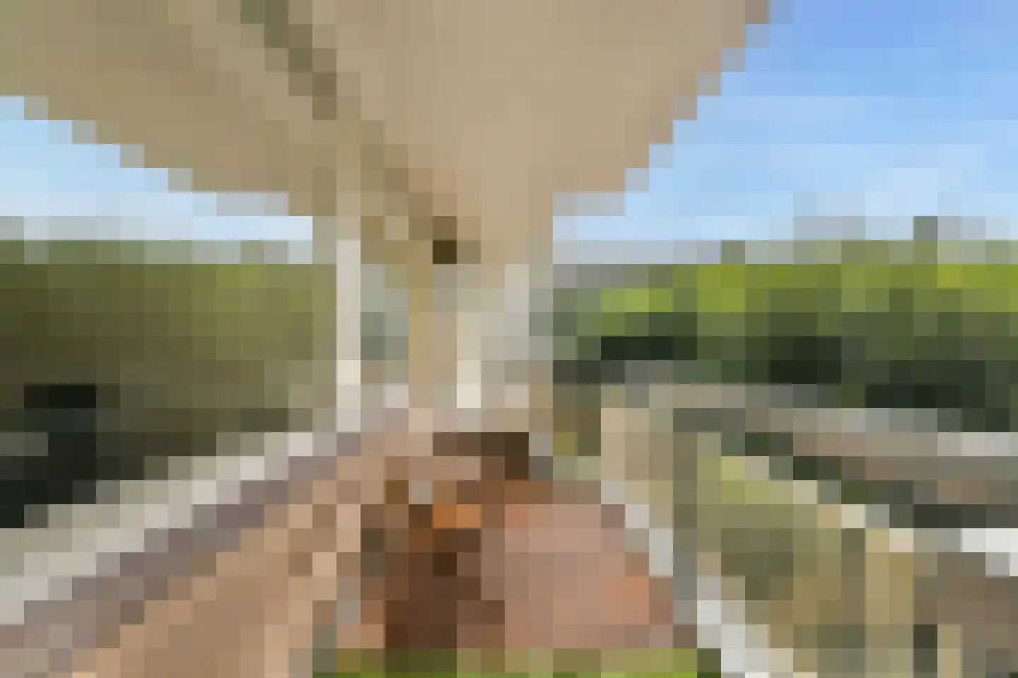 Bolestein 514 Amsterdam thumbnail 9