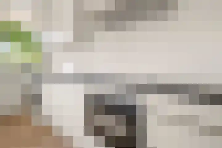Bolestein 526 Amsterdam thumbnail 11