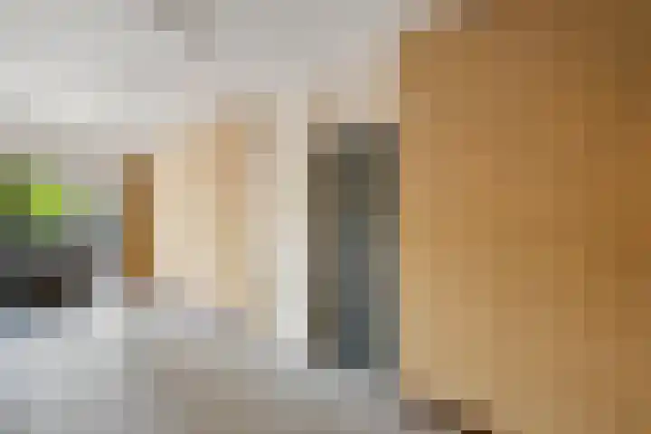 Bolestein 526 Amsterdam thumbnail 19