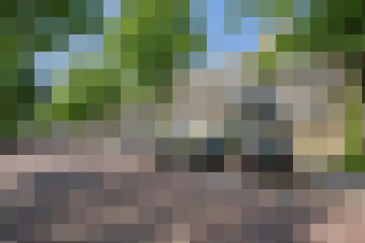 Bolestein 526 Amsterdam thumbnail 23