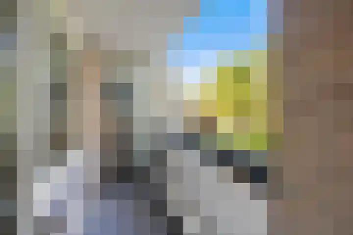 Bolestein 526 Amsterdam thumbnail 5