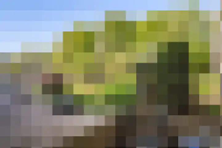 Bolestein 526 Amsterdam thumbnail 6