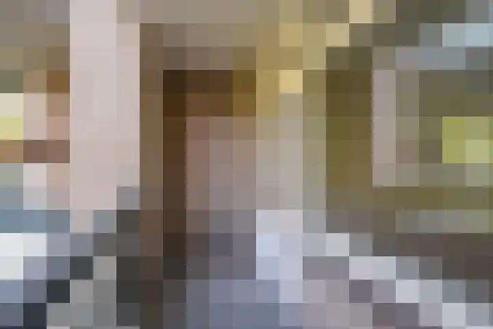 Bolestein 526 Amsterdam thumbnail 7