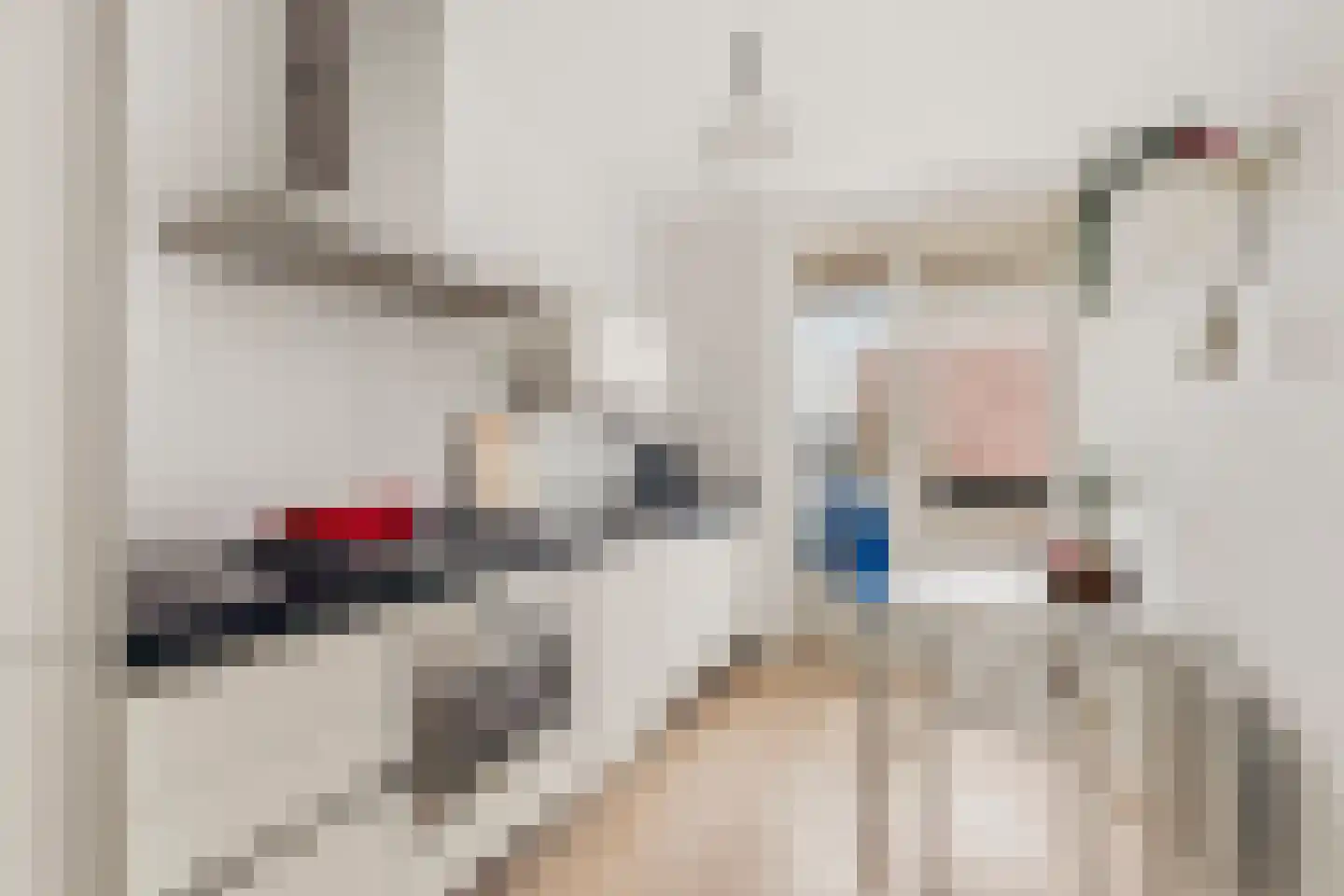 Bolestein 554 Amsterdam thumbnail 13