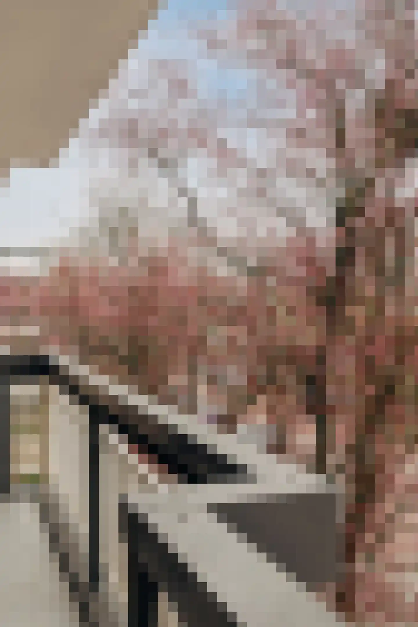 Bolestein 554 Amsterdam thumbnail 26