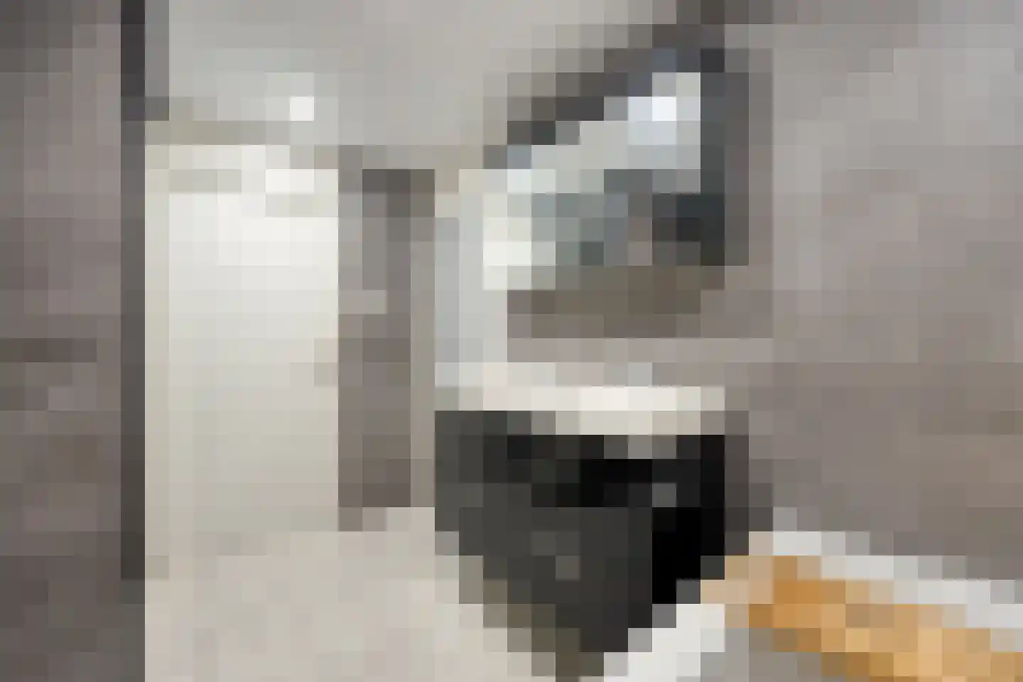 Bolestein 56 Eindhoven thumbnail 30