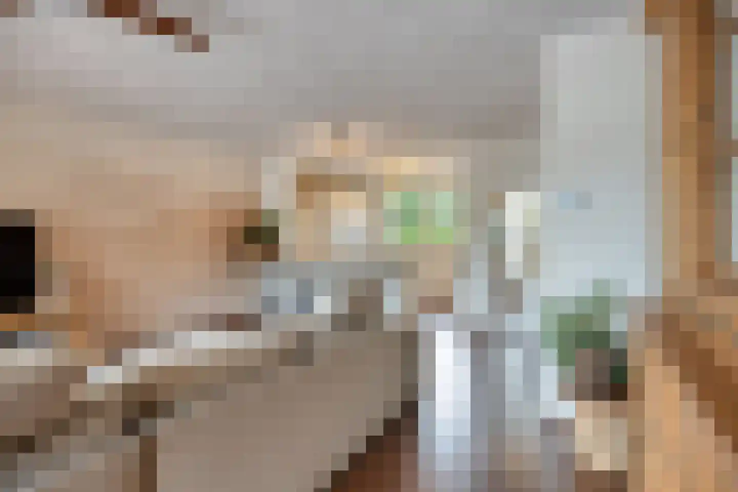 Bolestein 56 Eindhoven thumbnail 9