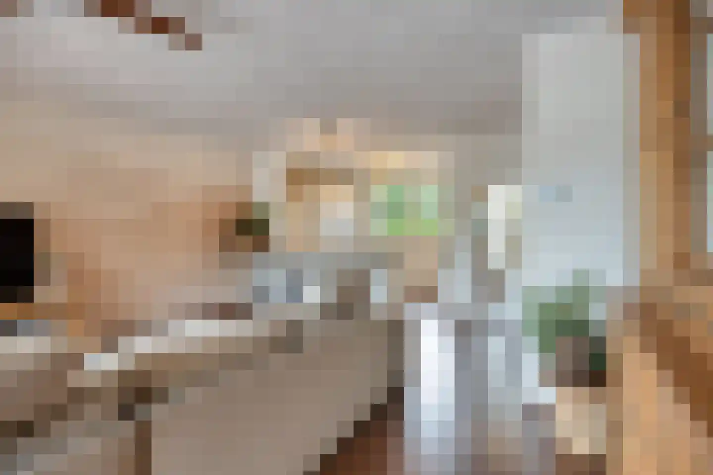 Bolestein 56 Eindhoven thumbnail 9