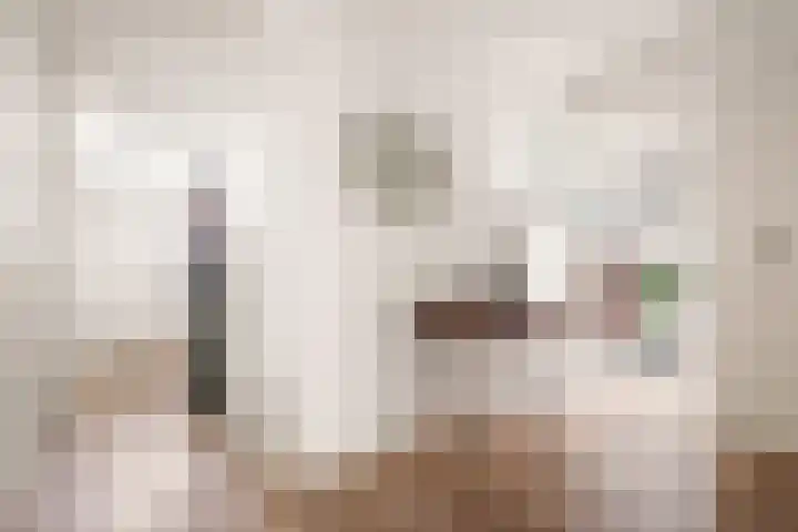 Bolestein 566 Amsterdam thumbnail 11