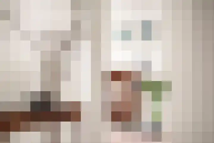 Bolestein 566 Amsterdam thumbnail 12