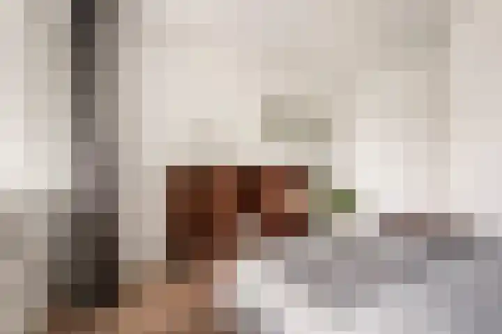 Bolestein 566 Amsterdam thumbnail 14