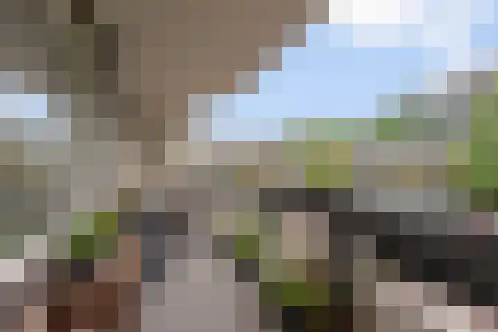 Bolestein 566 Amsterdam thumbnail 23