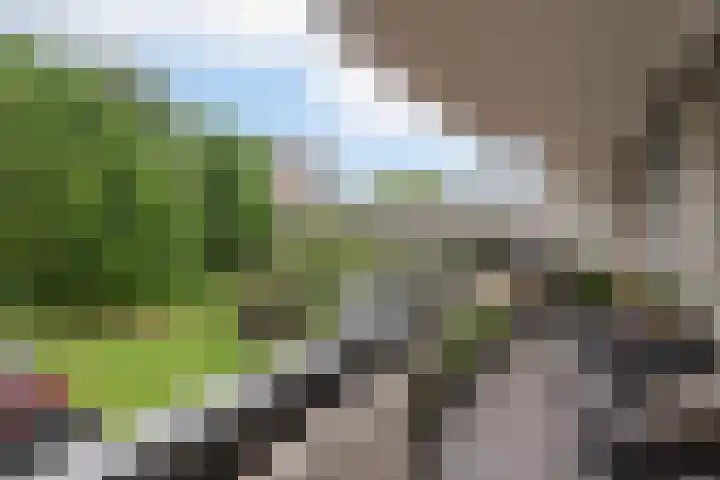 Bolestein 566 Amsterdam thumbnail 25