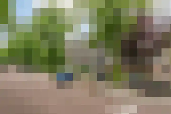 Bolestein 566 Amsterdam thumbnail 27