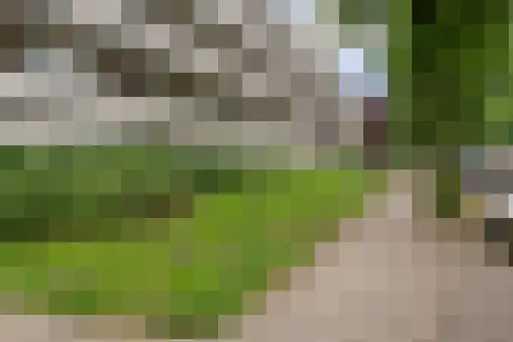 Bolestein 566 Amsterdam thumbnail 28