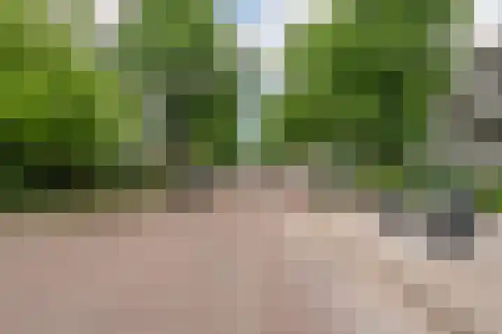 Bolestein 566 Amsterdam thumbnail 29