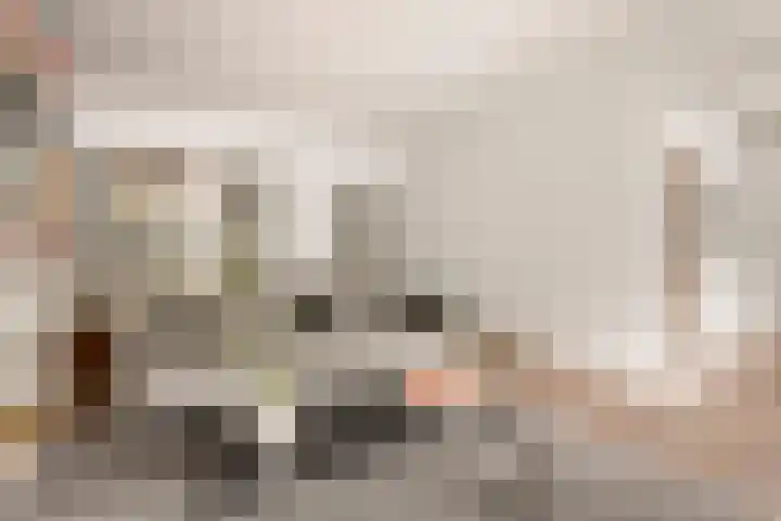Bolestein 566 Amsterdam thumbnail 4