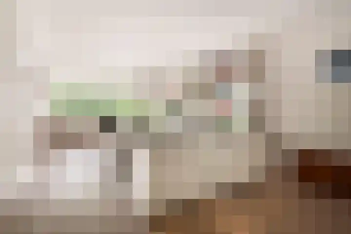 Bolestein 566 Amsterdam thumbnail 5