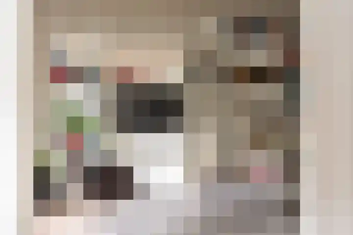Bolestein 566 Amsterdam thumbnail 6
