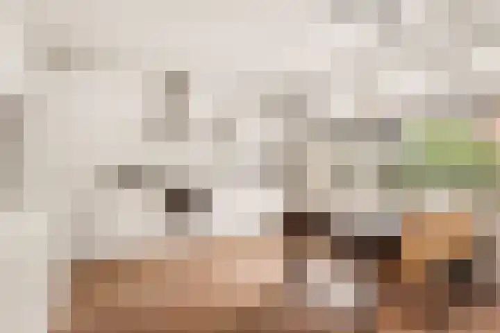 Bolestein 566 Amsterdam thumbnail 8