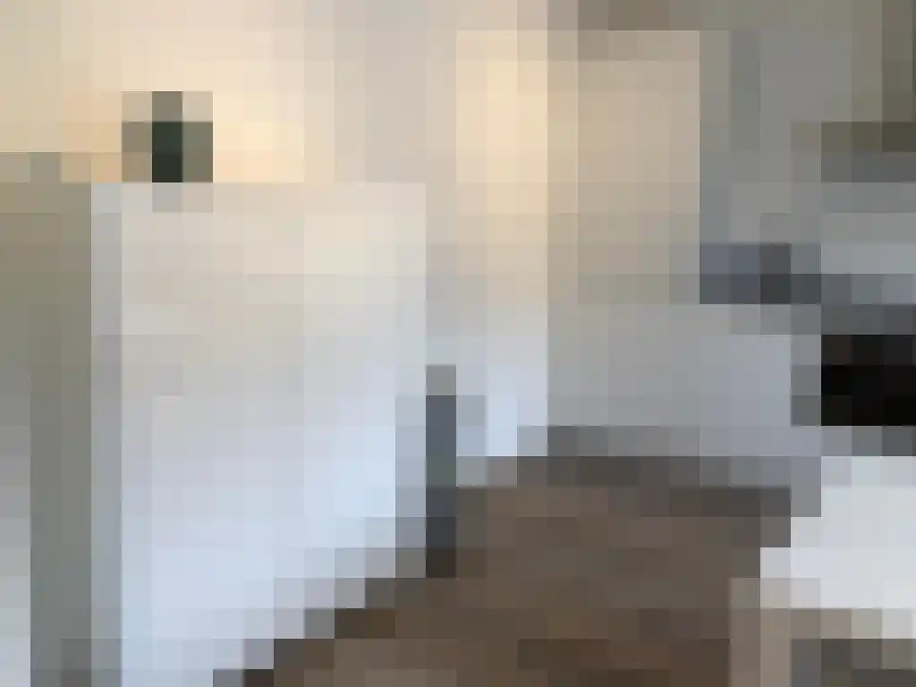 Bolestein 592 Amsterdam thumbnail 5