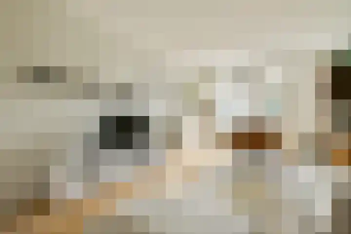 Bolestein 722 Amsterdam thumbnail 10