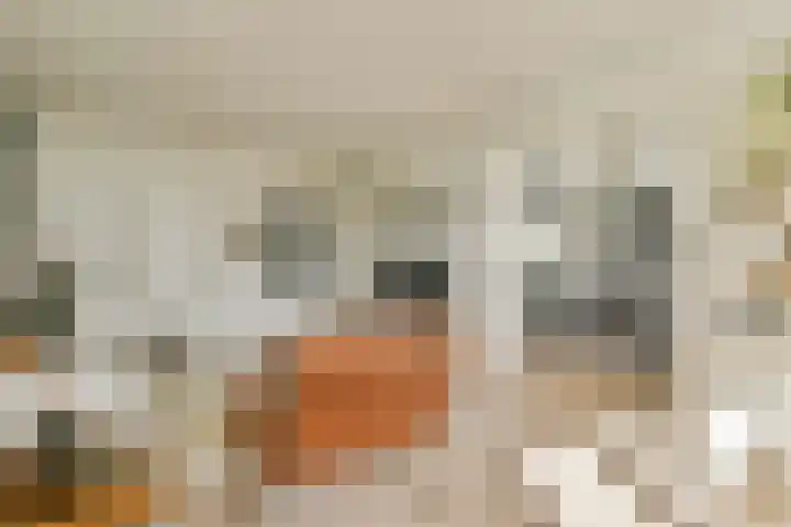 Bolestein 722 Amsterdam thumbnail 12
