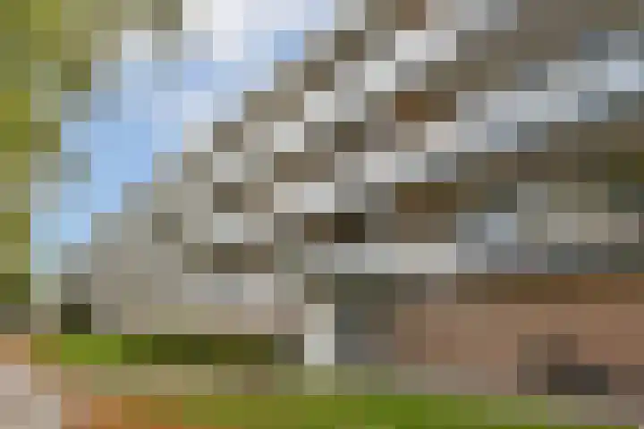 Bolestein 722 Amsterdam thumbnail 6