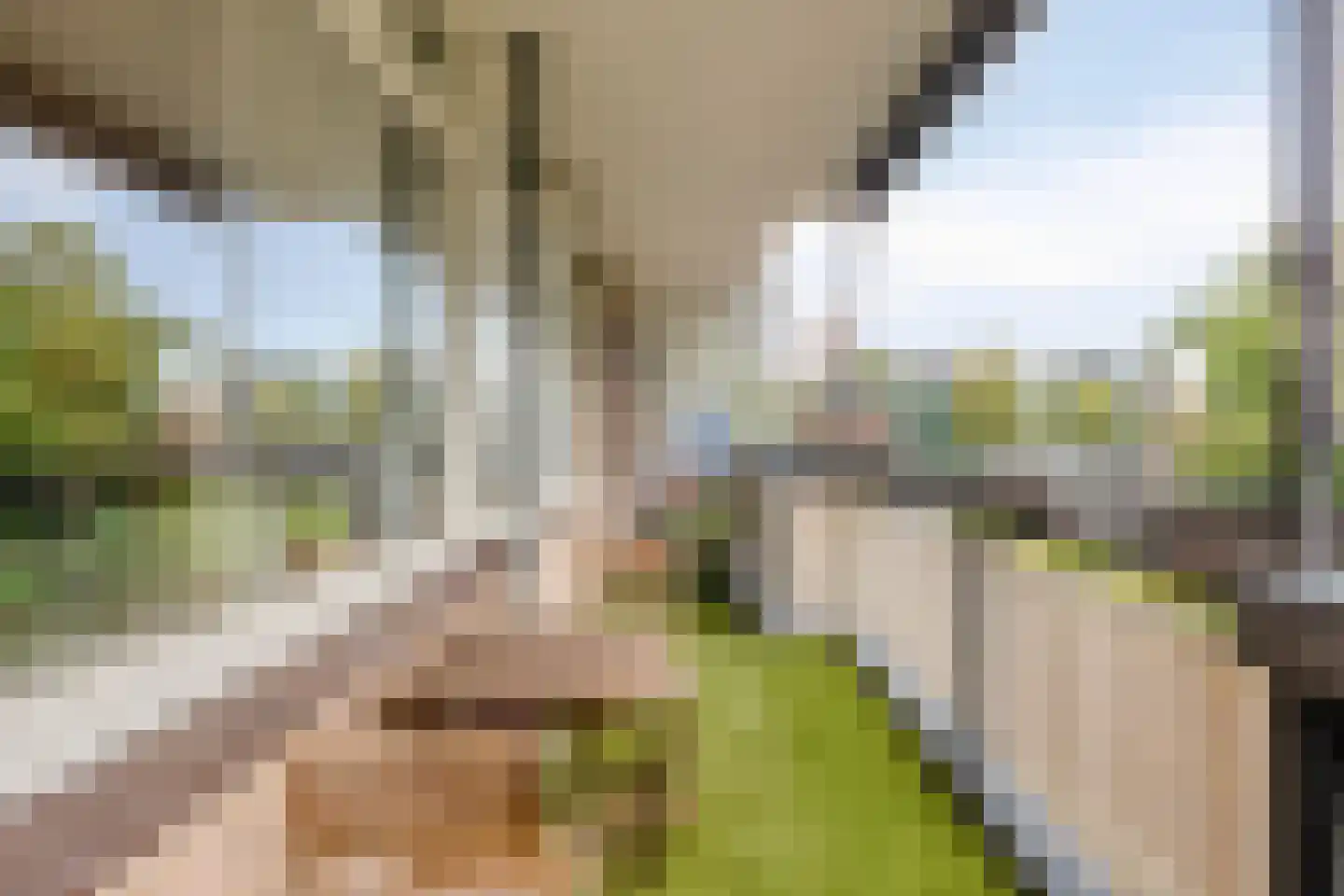 Bolestein 730 Amsterdam thumbnail 12