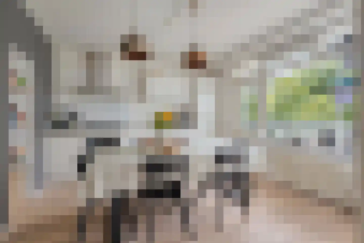 Bolestein 730 Amsterdam thumbnail 7