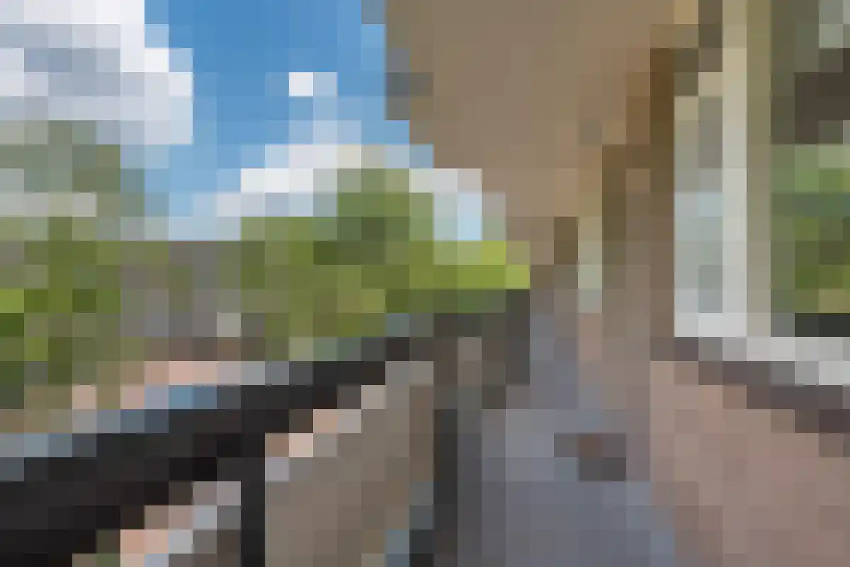 Bolestein 746 Amsterdam thumbnail 6