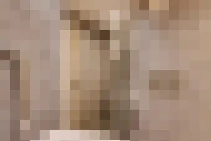 Bolestein 794 Amsterdam thumbnail 28