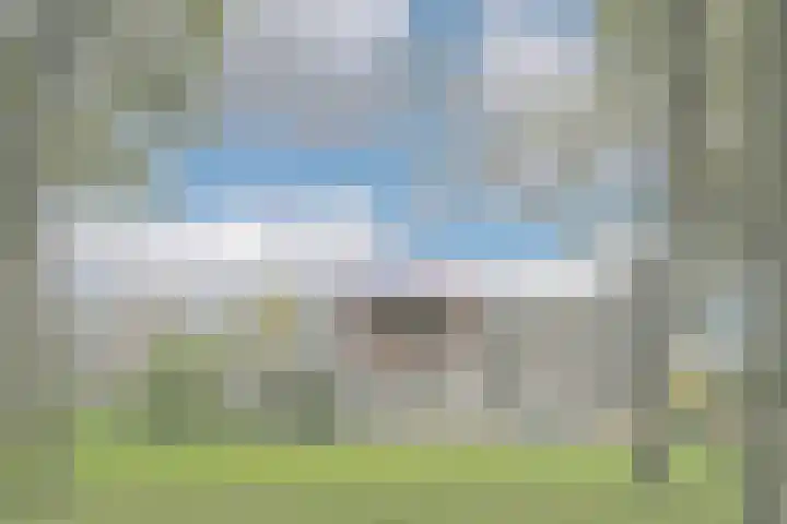 Bolestein 794 Amsterdam thumbnail 6